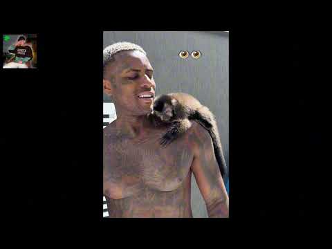 MC IG - MODO NOTURNO (DJ Endreo)