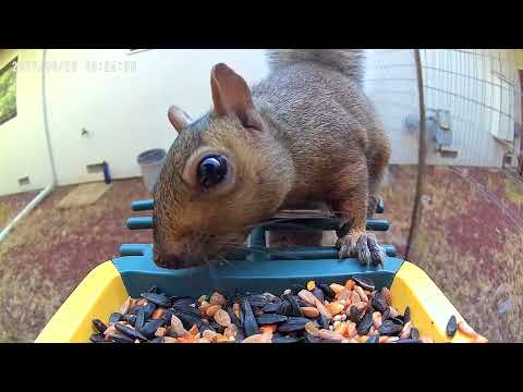 When sum Spicy Food Hits too hard