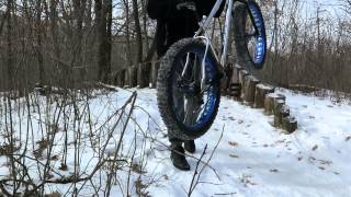 Browner, the stockade skinny feature at Hillside Park Mtb Trail.