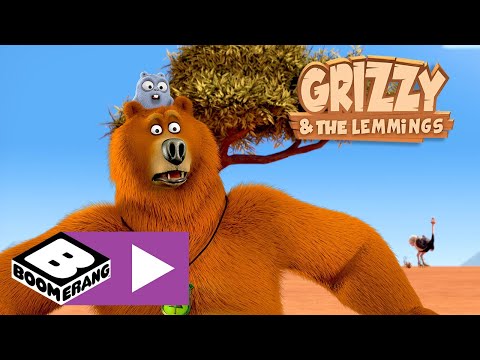 Grizzy und die Lemminge | Afrika | Cartoonito