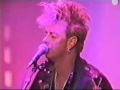 Stray Cats "Lust n Love"