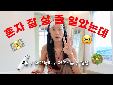 비디오 12