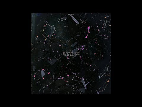 Ngyn x glasscat - Awake