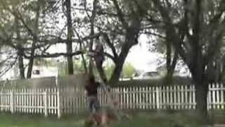 Ladders + Chainsaws + Rett Boys = Hilarity