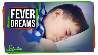 What Are Fever Dreams?