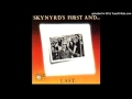 Preacher's Daughter - Lynyrd Skynyrd