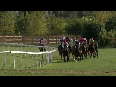 5. dostih - Cena spol. K.K. Provoz a Opravy Lokomotiv, s.r.o. - dostihy Velká Chuchle 15. 9. 2019