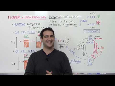 Floração, Fotoperiodismo e o Fitocromo - Fisiologia Vegetal - Prof. Sanabria