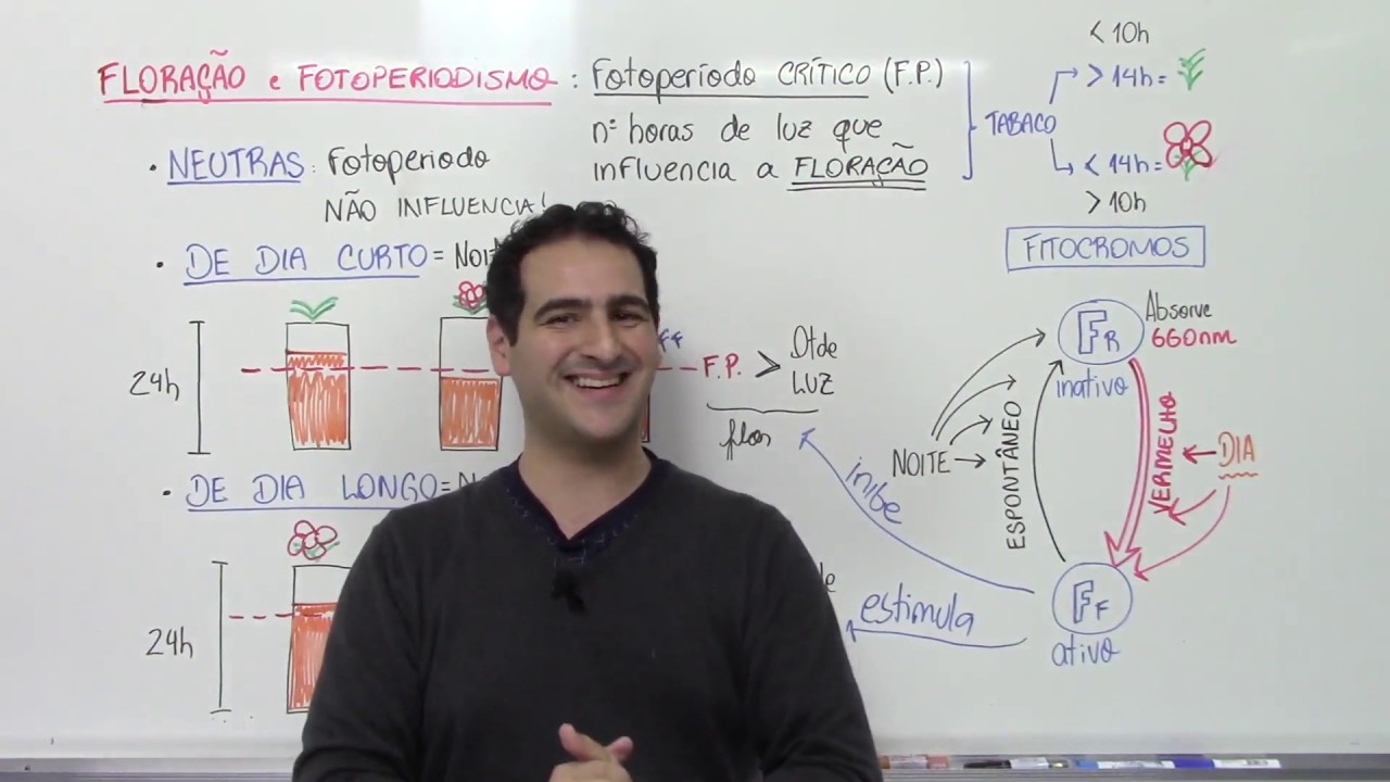 Floração, Fotoperiodismo e o Fitocromo - Fisiologia Vegetal - Prof. Sanabria