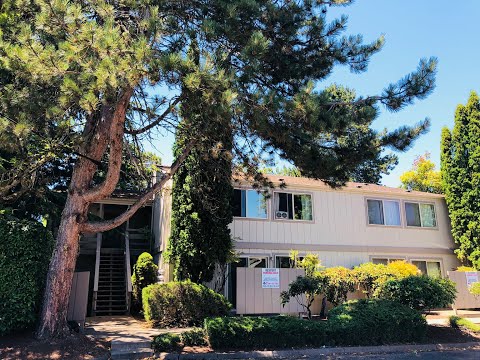 Willow Tree Apartments - Video 2 of 2