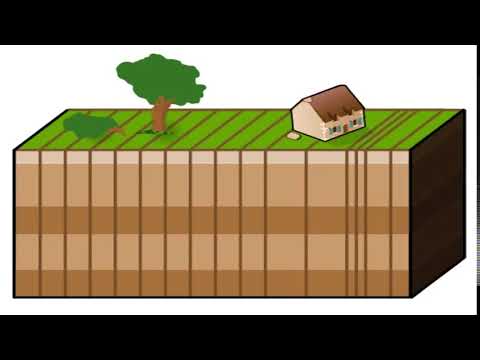 Animation Ondes P   YouTube