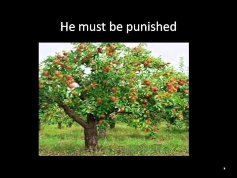 Teenage Boys Behaving Badly