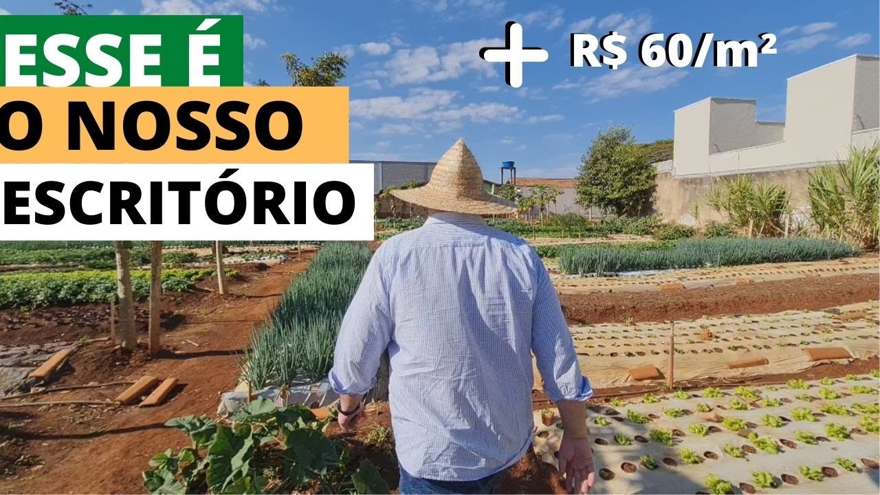 Como é por dentro de uma horta urbana? E o potencial de faturamento? Bora dar uma volta na horta