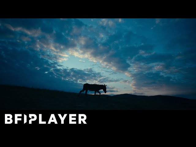 Mark Kermode reviews EO (2023)