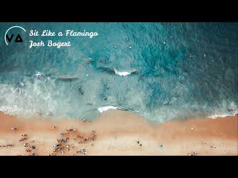 Best Songs 2020)Sit like a Flamingo Half an Orange, Disero & Josh Bogert