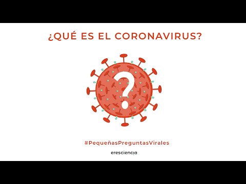 ¿Qué es el coronavirus?