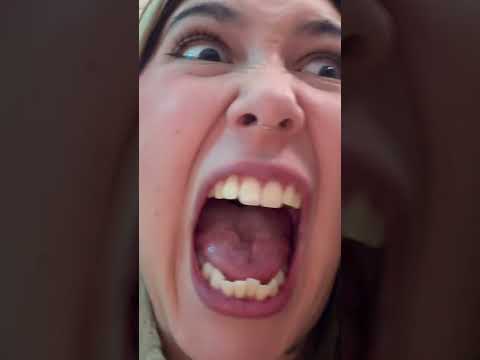 conocí unos cachorros hermosos 🐶