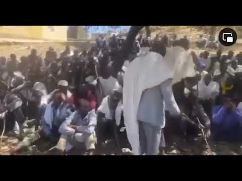 "ኣይትኽእሉናን ኢኩም ንሕንሲ ካብ ወያነ ዝረዓምናዮም ስዲ ደሞክራሲ ኣሎና" ሓደ ኣቦ ካብ ኢሮፕ