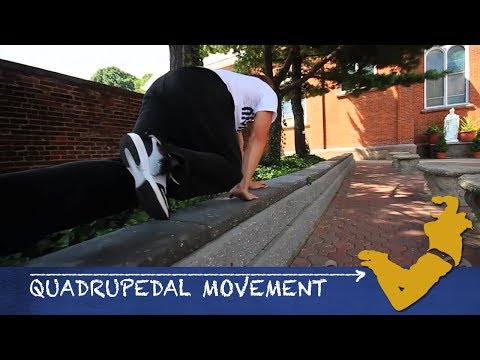 Parkour From Scratch #5 - Quadrupedal Movement Tutorial - How to start Parkour