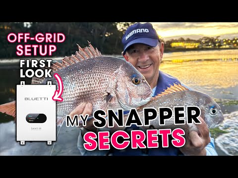 Epic Snapper Fishing HACK for Rock Fishing