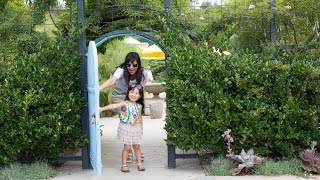 Unplug and Play with Oh Joy!