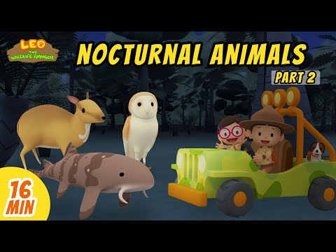 Nocturnal Animals Minisode Compilation (Part 2/2) - Leo the Wildlife Ranger | Animation | For Kids