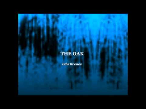 Edu Brenes - The Oak ( electronica )