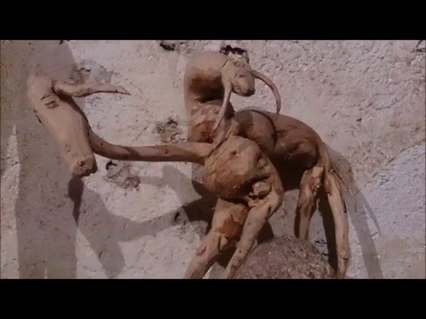 Vídeo: Vídeo dedicado a Nieves Fernández Vidueira (19/05/2016)