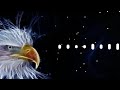 EAGLE BGM EAGLE RINGTONE ATTITUDE RINGTONE BGM