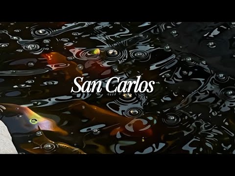 San Carlos - Pontay