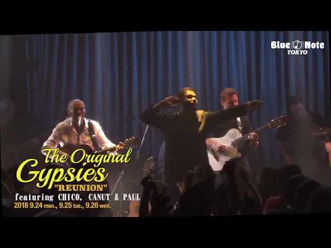 THE ORIGINAL GYPSIES "REUNION"  featuring CHICO, CANUT & PAUL @BLUE NOTE TOKYO (2018 9.24 mon.)
