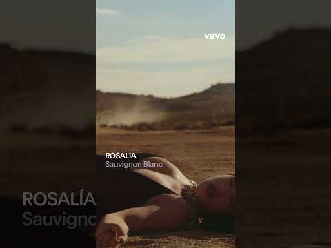 Rosalía publica el nuevo videoclip de 'Sauvignon Blanc': en el desierto y junto a una 'pareja invisible'
