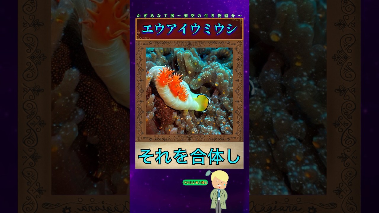 倫理観がバグっている生物3選 #shorts #かぎあな紹介