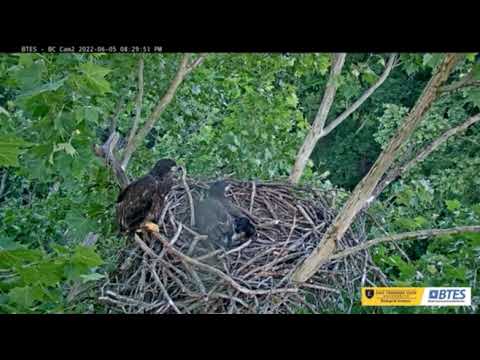 2022 06 05 BC AdultVocals 0830pm