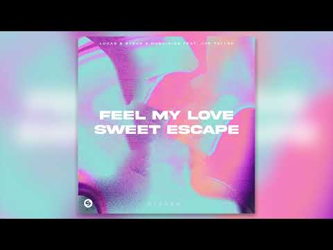 Lucas & Steve x DubVision vs. Alesso - Feel My Love vs. Sweet Escape (Nick Niroz Mashup)