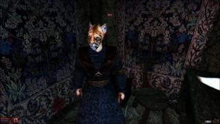 Let's Play Morrowind Part 24 - More Fetch Quests Feat. Lymanity