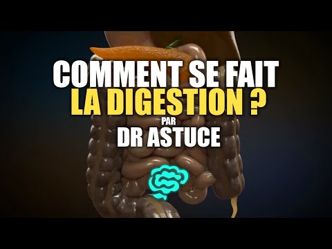 🔴 La Physiologie Digestive Expliquée Très Clairement par Dr Astuce