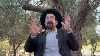 ישראל והאומות וקיום מצוות חג הסוכות | הרב אליהו ובר (ישיבת הר הבית) - התמונה מוצגת ישירות מתוך אתר האינטרנט יוטיוב. זכויות היוצרים בתמונה שייכות ליוצרה. קישור קרדיט למקור התוכן נמצא בתוך דף הסרטון ישראל והאומות וקיום מצוות חג הסוכות | הרב אליהו ובר (ישיבת הר הבית) - התמונה מוצגת ישירות מתוך אתר האינטרנט יוטיוב. זכויות היוצרים בתמונה שייכות ליוצרה. קישור קרדיט למקור התוכן נמצא בתוך דף הסרטון