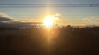 夜明の星 / tiny yawn