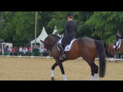 Isabell Werth, DSP QUANTAZ, Abreiteplatz Pfingsturnier Wiesbaden, 2019