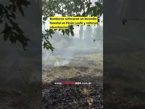 Incendio forestal en Picún Leufú: bomberos lograron controlarlo