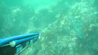 preview picture of video '10-10-2014 Mackerricher SP Spearfishing'