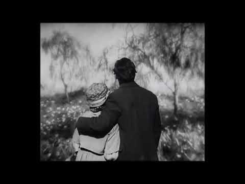 Milo - Uncle suns , Do Do