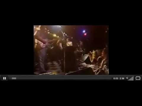 NRBQ Iggy Pop Wooly Bully