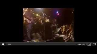 NRBQ Iggy Pop Wooly Bully