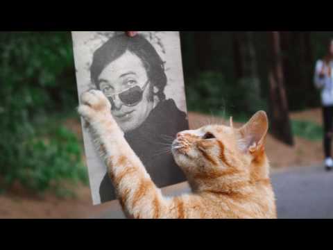 Karel Gott - Ich möcht' von Dir ein Foto (Auf der grünen Wiese) 1971