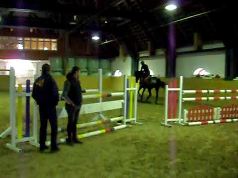 provar häst tyskland