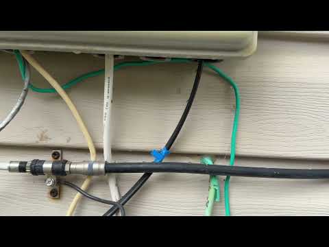 Ants Sneak Into the Utility Box in Martinsville, NJ