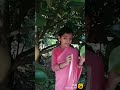 Manasinakkare Movie Song