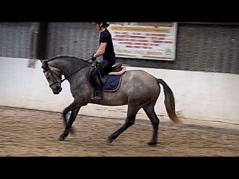 Clifden Friday 28 lot 123 - Image 2